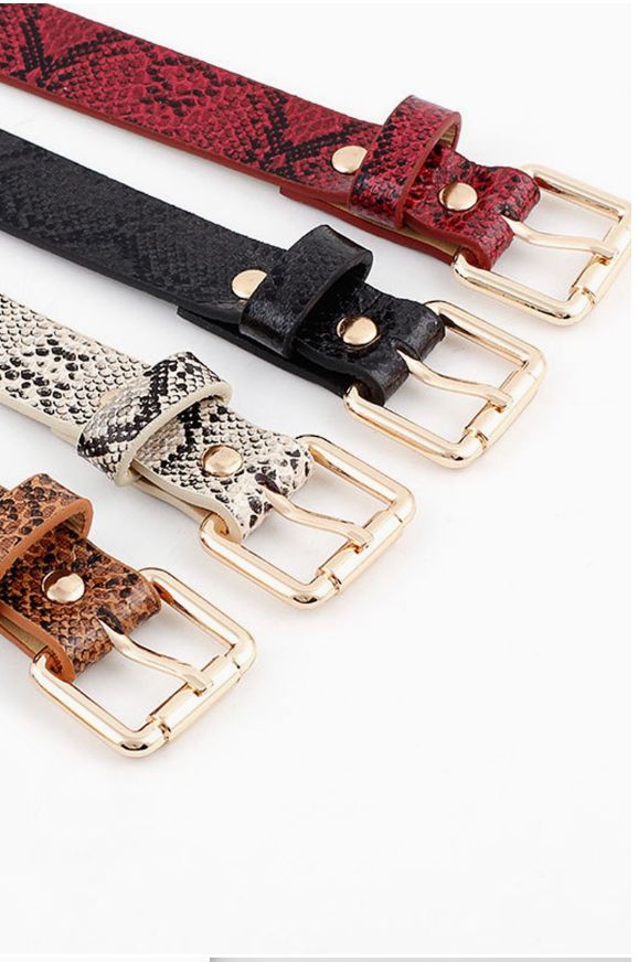Snake Skin Belt