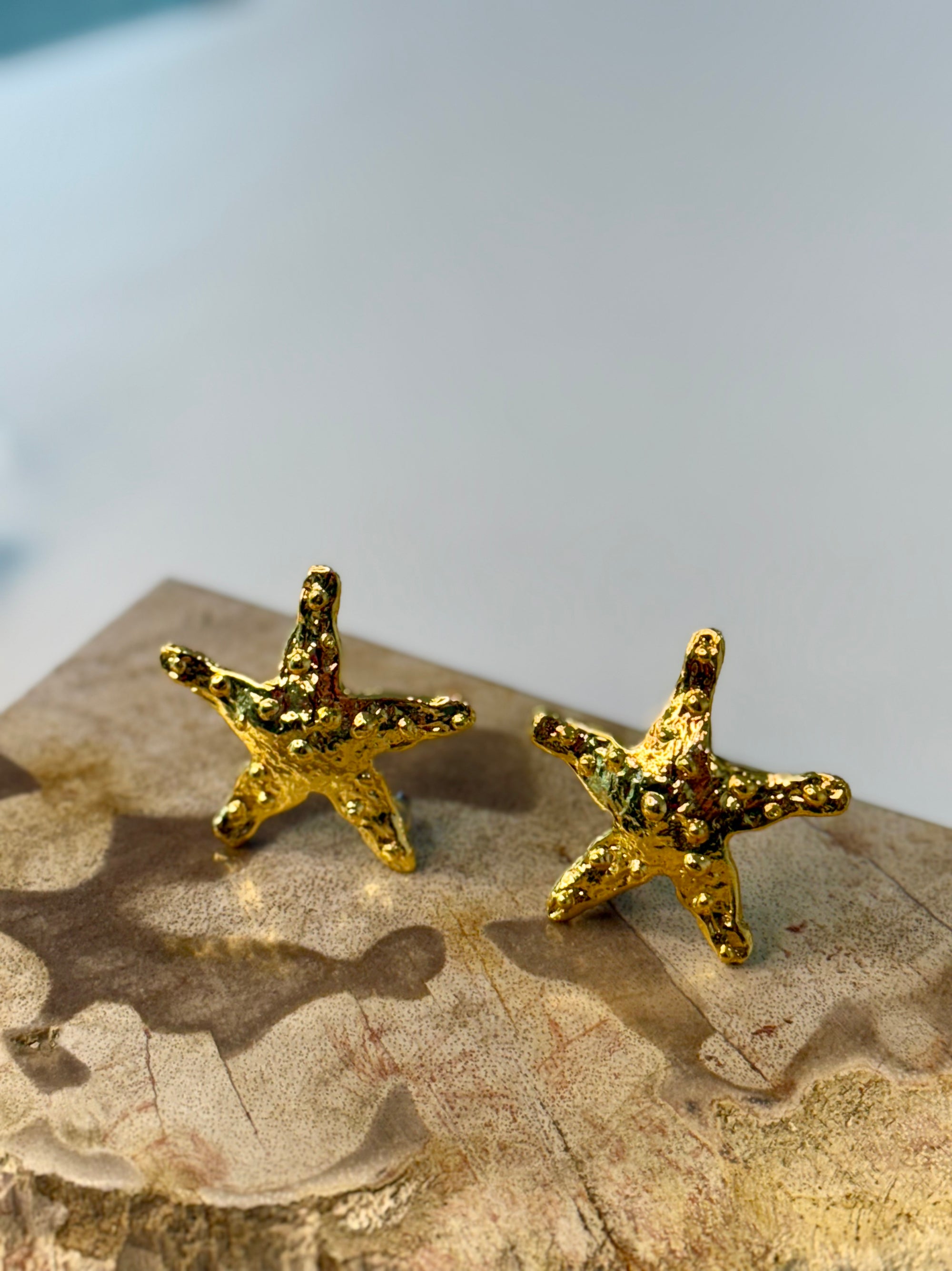 Sea star set